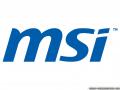 Завесы петли MSI Завесы петли MSI
